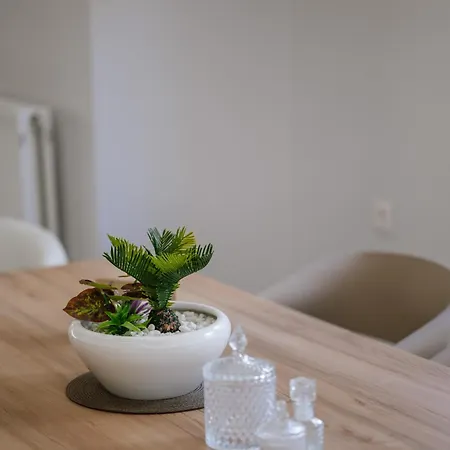 Brand New Family House Est. 2023 아파트